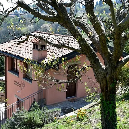 Il Giardino Di Berbech Citta Alta-ulivo Apartmán