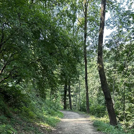 Il Giardino Di Berbech Citta Alta-ulivo * Bergamo